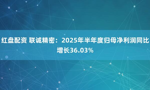 红盘配资 联诚精密：2025年半年度归母净利润同比增长36.03%