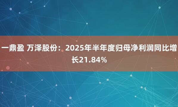 一鼎盈 万泽股份：2025年半年度归母净利润同比增长21.84%