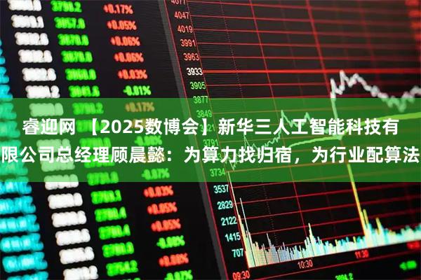 睿迎网 【2025数博会】新华三人工智能科技有限公司总经理顾晨懿：为算力找归宿，为行业配算法