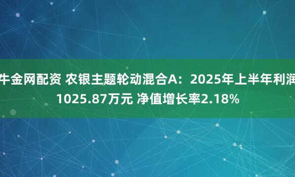 牛金网配资 农银主题轮动混合A：2025年上半年利润1025.87万元 净值增长率2.18%