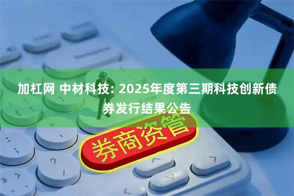 加杠网 中材科技: 2025年度第三期科技创新债券发行结果公告